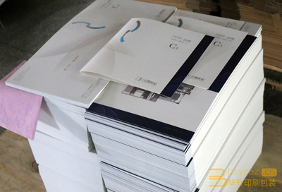 專業(yè)樓書印刷服務(wù) 仁恒公園世紀項目二折頁與樓書印刷方案解析